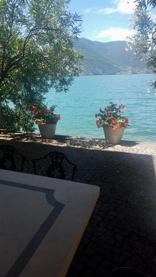 L'Oleandro Sul Lago D'Iseo B&B Sulzano Dış mekan fotoğraf