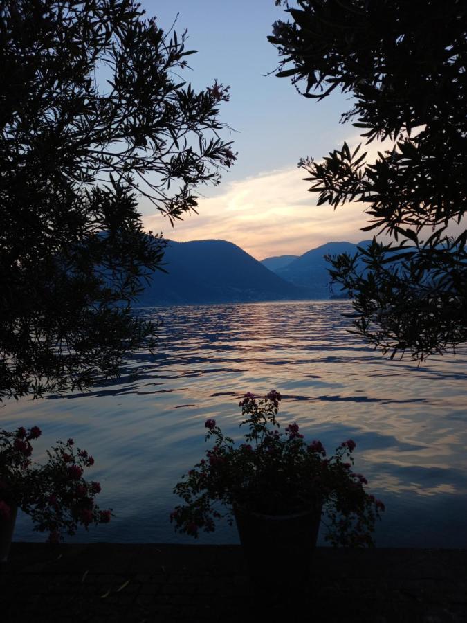 L'Oleandro Sul Lago D'Iseo B&B Sulzano Dış mekan fotoğraf