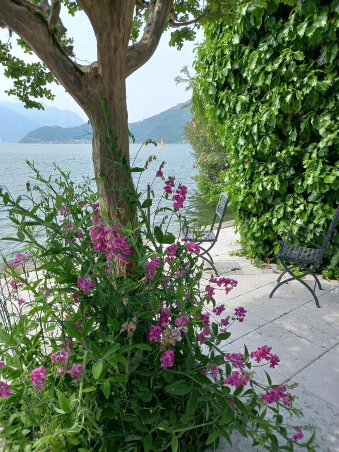 L'Oleandro Sul Lago D'Iseo B&B Sulzano Dış mekan fotoğraf
