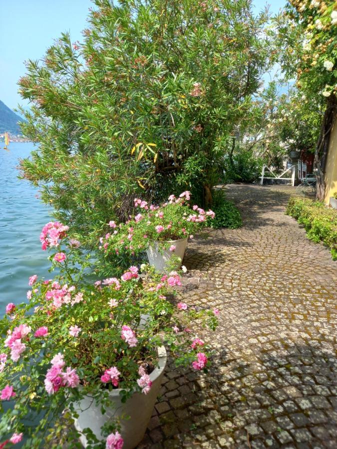 L'Oleandro Sul Lago D'Iseo B&B Sulzano Dış mekan fotoğraf