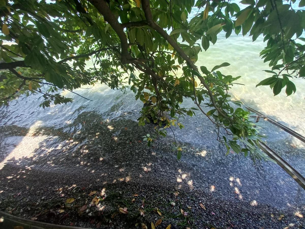 L'Oleandro Sul Lago D'Iseo B&B Sulzano Dış mekan fotoğraf