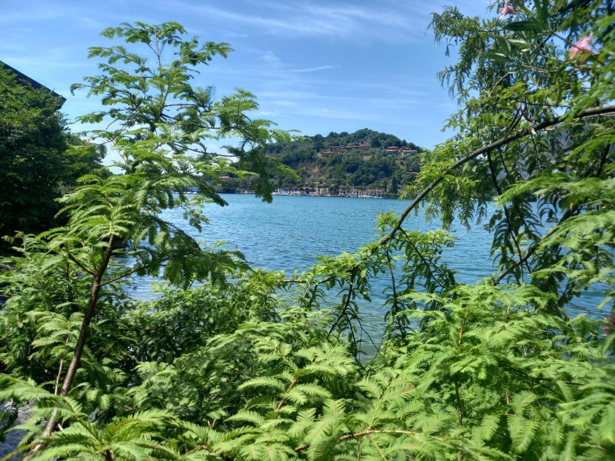 L'Oleandro Sul Lago D'Iseo B&B Sulzano Dış mekan fotoğraf