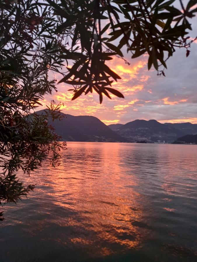 L'Oleandro Sul Lago D'Iseo B&B Sulzano Dış mekan fotoğraf