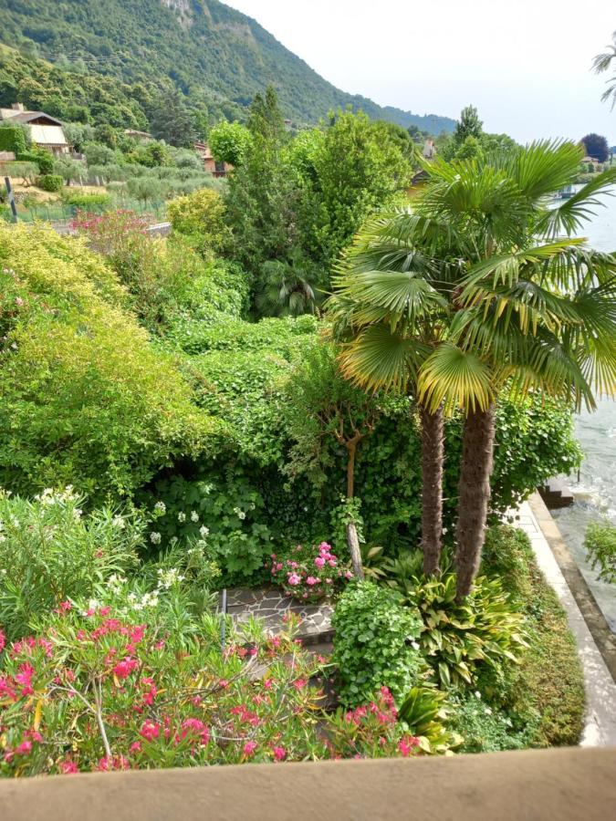 L'Oleandro Sul Lago D'Iseo B&B Sulzano Dış mekan fotoğraf
