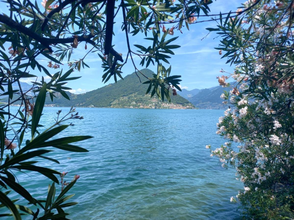 L'Oleandro Sul Lago D'Iseo B&B Sulzano Dış mekan fotoğraf