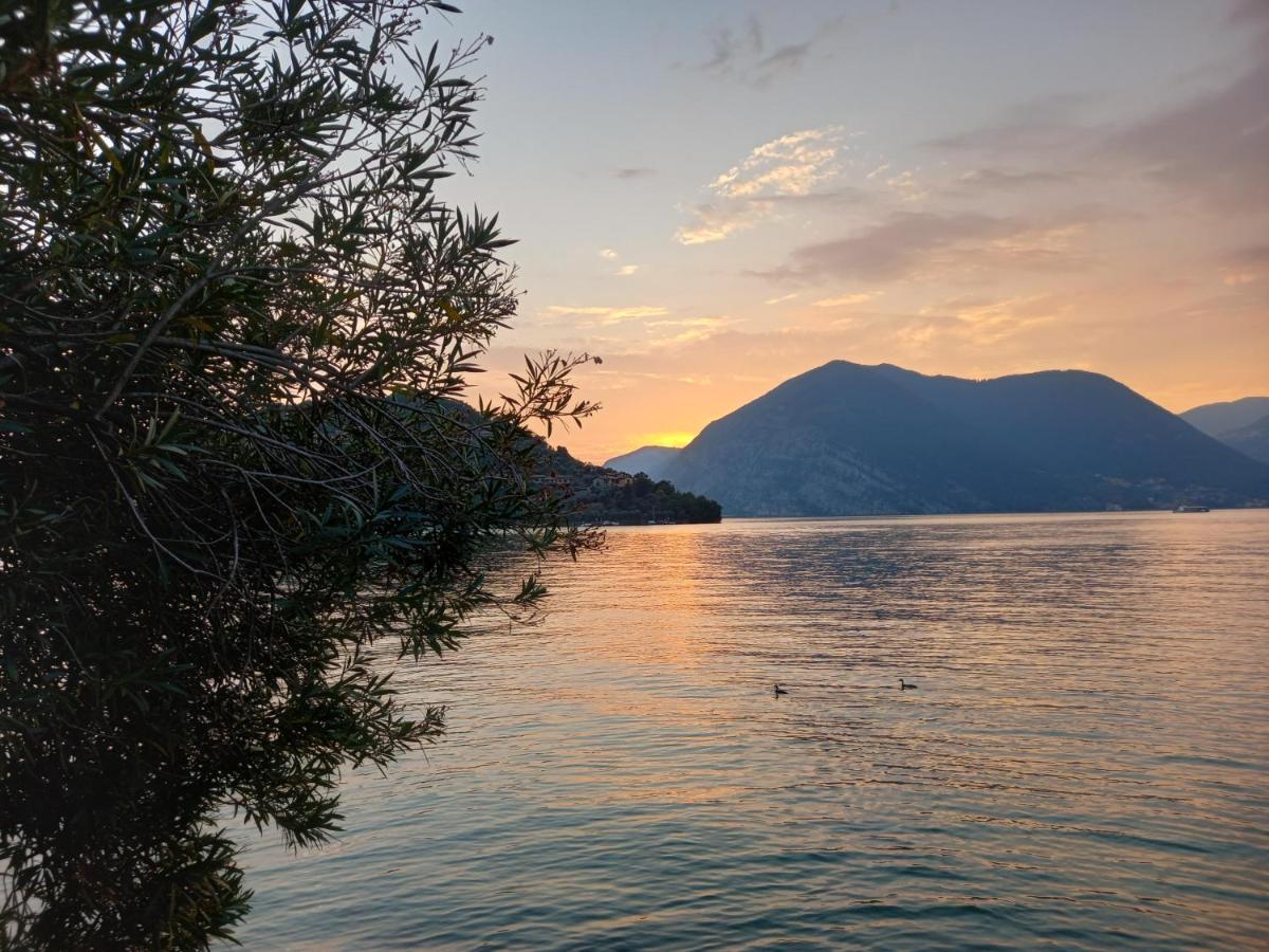 L'Oleandro Sul Lago D'Iseo B&B Sulzano Dış mekan fotoğraf