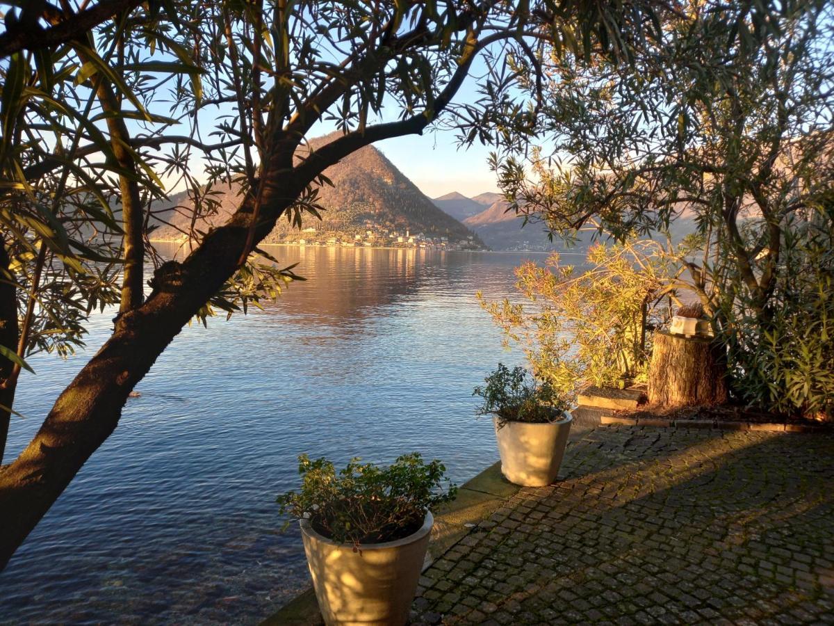 L'Oleandro Sul Lago D'Iseo B&B Sulzano Dış mekan fotoğraf