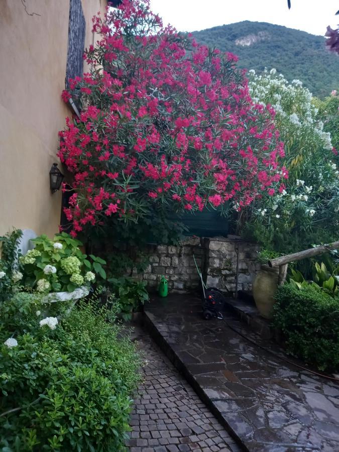 L'Oleandro Sul Lago D'Iseo B&B Sulzano Dış mekan fotoğraf